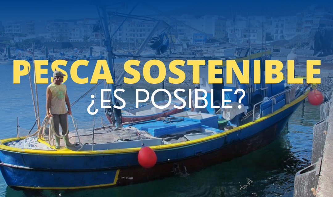 Pesca sostenible, ¿es posible?