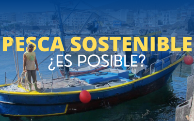 Pesca sostenible, ¿es posible?