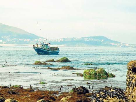 Pesca-sostenible-Galicia